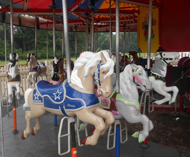 Click to display the next picture